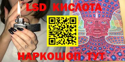 кокс Гатчина