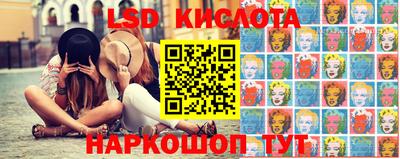 кокс Гатчина