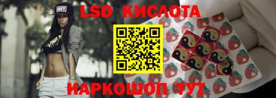 кокс Гатчина