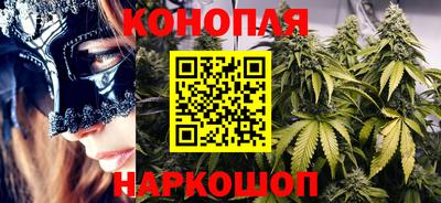кокс Гатчина