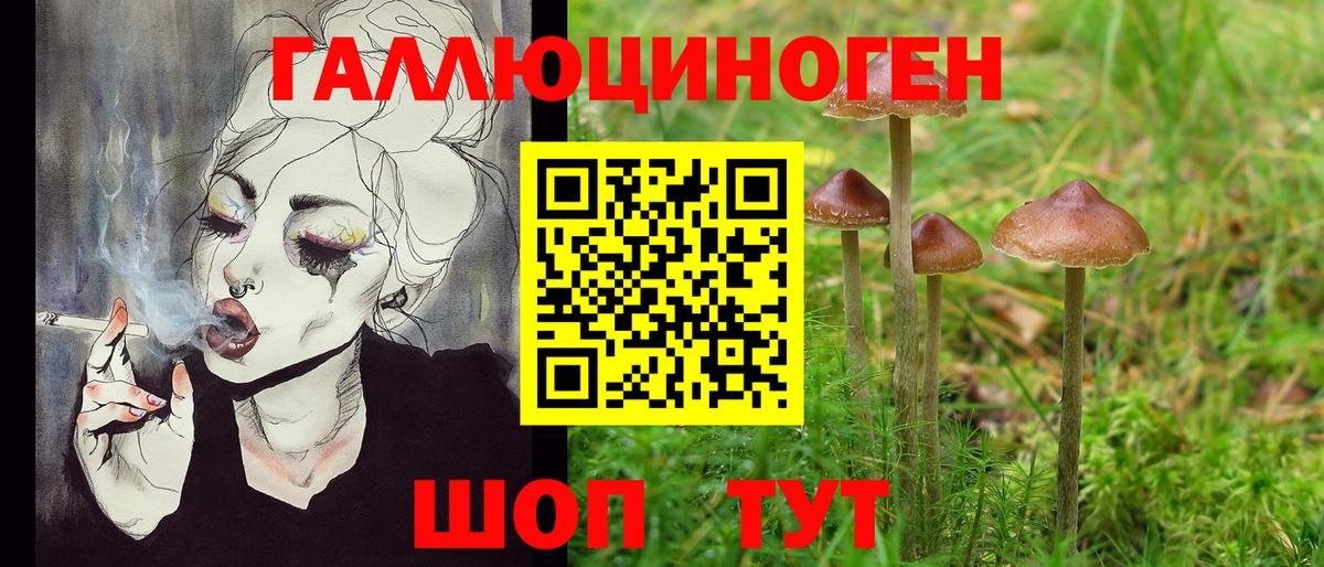 Галлюциногенные грибы ЛСД Карачаевск