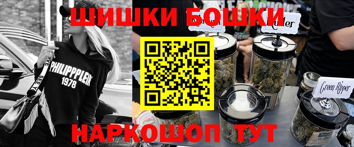 Каннабис сатива Карачаевск